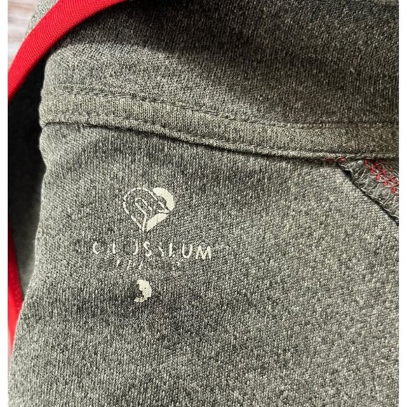 Louisville Cardinals Colosseum Pullover Long sleeve Shirt - Heathered Charcoal - Picture 9 of 11